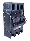 Thomas & Betts tbfl-23回路ブレーカー3ポール – 125 125 Amp 240 V Fits Zinsco / Sylvania