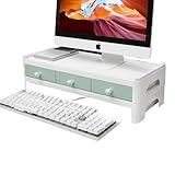 Apaeoflパソコン台 モニター台 机上台 2段式 プリンタ台 pc キーボード収納便利 コンパクト ブルー 家庭用 オフィス (緑色の二重層)