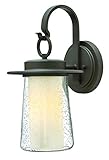 Hinkley 2010OZ-LED Outdoor Riley Light by Hinkley
