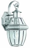 Thomas Lighting SL941378 Heritage Collection 1 Light Outdoor Wall Sconce, Brushed Nickel [並行輸入品]