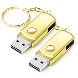 USBメモリ、Hrich 2GB USBフラッシュドライブ、キーチェーン付き、高速USB 2.0 USBフラッシュドライブ、音楽、写真、ドキュメント、ビデオの転送用、USBフラッシュドライブx2(2GB ゴールド)