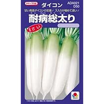 daikon様 Amazon.co.jp: Daikon Seeds, Seasonal Flavor, Small Bag
