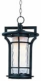 Maxim Lighting 85788 Oakville EE Outdoor Hanging Lantern, Black Oxide Finish, 12 by 19-Inch [並行輸入品]