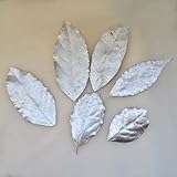 カラーリーフ　６枚入り [実 ドライ 葉 アレンジ 資材 花材] (シルバー)