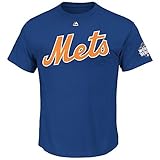 ニューヨーク・メッツYouth 2015ワールドシリーズTシャツ( Youth Large 14 / 16 )