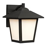 Galaxy Lighting 312050BK/WH Outdoor Sconce [並行輸入品]