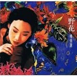 ���C���h�E�t�����[(���)