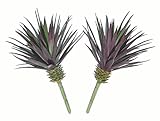 2 x 7.5" Agave Cacti, Artificial Plants