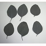 ポプラス グリーン 6枚入り【プリザーブドフラワー】【リーフ】