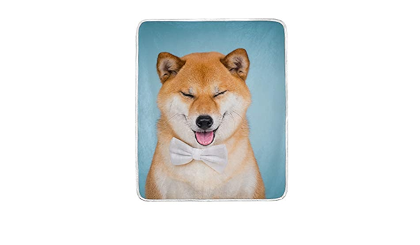 売り尽くしセール 2way 柴犬模様 防寒 耐噛み 洗える円形大型犬適用 猫兼用 隠れ家 柔ら 短納期 早者勝ち Talalsalman Com