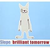 Brilliant tomorrow