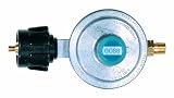 Goss EP-90-2 Low Pressure Propane Regulator, Type 1 Inlet with 1/4-Inch Flare Outlet [並行輸入品]