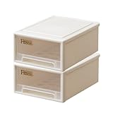 Fits フィッツケース 収納ケース まとめ買い2個セット リビング用 プチ カプチーノ