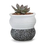 T4U 6CM 陶器ミ二植木鉢 韓国風の雪花シリーズ No.4 2輪黒白 多肉植物 サボテン鉢 フラワーポット プランター容器