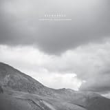 All Is Wild All Is Silent - Remixes (Rmxs)[12 inch Analog]