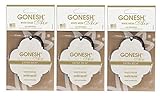 GONESH PAPER AIR FRESHENER WHITE MUSK ガーネッシュ ペーパー エアーフレッシュナー ホワイトムスク 3枚 セット