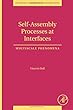 Self-Assembly Processes at Interfaces, Volume 21: Multiscale Phenomena (Interface Science and Technology)