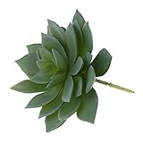 Dovewill 人工エチェリア　人工植物　人工花　シミュレーション多肉植物