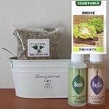 エンダイブの栽培セット/豊作セット（液体肥料付き）プランターホワイト仕様