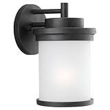 Sea Gull Lighting 88660-185 Outdoor Sconce with Satin EtchedGlass Shades, Forged Iron Finish [並行輸入品]