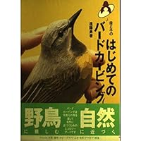 バードカービング　ウソ（♂） バードカービング ウソ（♂）