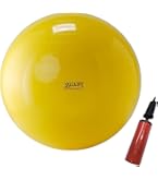 Gymnic バランスボール　 直径55・幅88黄色 ポンプ付き Amazon | Gymnic ギムニクフィットボール55【バランスボール