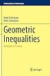 Geometric Inequalities: Methods of Proving (Problem Books in Mathematics)