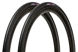 【特別版】2本セット パナレーサー(Panaracer) アジリスト 700×25C クリンチャー 黒 F725-AG-B-2P
