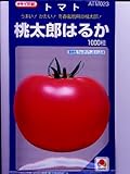 ＣＦ桃太郎はるか(1000粒)　　タキイ種苗のトマトの種です