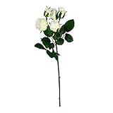 ローズスプレークローズド×5 FXFR0021CR