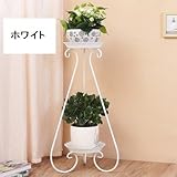 インテリア 装飾用 アイアン調 ガーデニングラック 2段 組み立て式 フラワースタンド シンプル 花台 (ホワイト1)