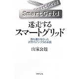迷走するスマートグリッド: 誰も書かなかった次世代インフラの本質