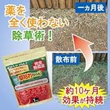 後藤　除草材「草枯れちゃん」1kg　877364