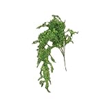 CWI Gifts Beauty Bush 33-Inch Lemon [並行輸入品]