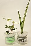 【ズボラさんでも大丈夫!!自動給水だからお世話が簡単です♪】　観葉植物　ハイドロカルチャー　自動給水器　アクアサンド　緑・黒２個セット