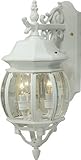 Artcraft Lighting AC8361WH Classico Medium European Style Outdoor Wall Mount, White [並行輸入品]