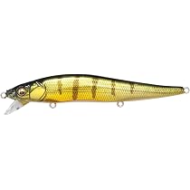 Amazon.co.jp: メガバス(Megabass) ルアー VISION ONETEN(ヴィジョン