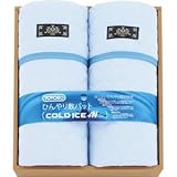 『引き出物 結婚内祝 出産内祝 引越 ご挨拶 内祝 お返し 快気祝などに人気の商品』　東洋紡　ひんやり敷パット2P　【のし・包装可】