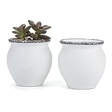T4U 6CM 陶器ミ二植木鉢 韓国風の雪花シリーズ No.2 多肉植物 サボテン鉢 フラワーポット プランター容器 2個入り