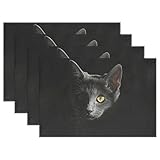 wihveプレースマットWipeableダイニングCat 12 x 18 inch