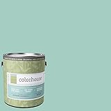 Inspired Eggshell Interior Paint, Water .07, Gallon [並行輸入品]