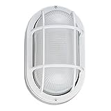 Sea Gull Lighting 8927BLE-15 Riverside-One Light Outdoor Wall Sconce, White Finish with Frosted Ribb