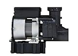 American Standard 752538-0070A Wow HP Power Water Pump [並行輸入品]