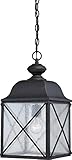 Nuvo Lighting 60/5624 Wingate Hanging One Light Lantern 100-watt Outdoor Pendant Porch and Patio Lig