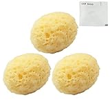 ユタカ Rich(リッチ) 海綿スポンジ (約7×5cm) × 3個 + ヘアゴム付き