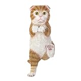 Combing Curious "uy" Kiel Doe (pack of 1 EA) [並行輸入品]