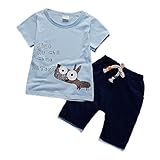 JIEYA 赤ちゃんの男の子のアニマルプリントの夏ショーツアウトフィットセット (2-3歳, 犬-青)