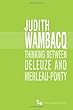 Thinking Between Deleuze and Merleau-Ponty (Series in Continental Thought)