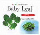 【種子】ベビーリーフ・ピノグリーン 1dl