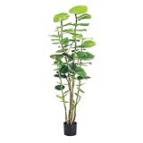 日本ビダヤコム GREEN&BERRIES 5FTシーグレープポット T0107 グリーン